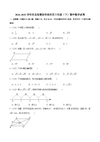 2024-2025学年河北省廊坊市安次区八年级（下）期中数学试卷