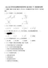 2024-2025学年河北省廊坊市安次区等3地七年级（下）期末数学试卷