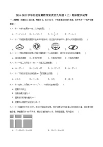 2024-2025学年河北省廊坊市安次区九年级（上）期末数学试卷