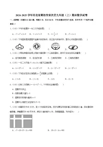 2024-2025学年河北省廊坊市安次区九年级（上）期末数学试卷