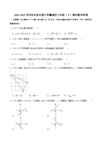 2024-2025学年河北省石家庄市藁城区八年级（下）期末数学试卷