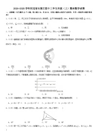 2024-2025学年河北省石家庄四十三中九年级（上）期末数学试卷