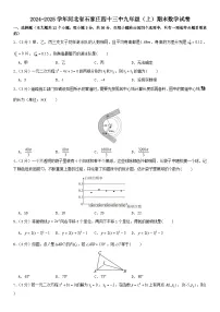 2024-2025学年河北省石家庄四十三中九年级(上)期末数学试卷