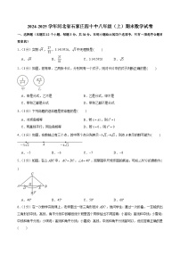 2024-2025学年河北省石家庄四十中八年级（上）期末数学试卷