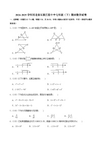 2024-2025学年河北省石家庄四十中七年级（下）期末数学试卷