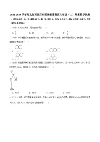 2024-2025学年河北省石家庄外国语教育集团八年级（上）期末数学试卷