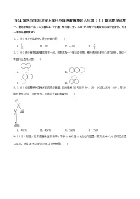 2024-2025学年河北省石家庄外国语教育集团八年级(上)期末数学试卷