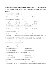 2024-2025学年河北省石家庄外国语教育集团七年级（上）期末数学试卷
