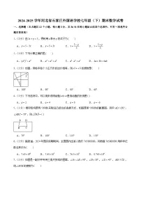 2024-2025学年河北省石家庄外国语学校七年级（下）期末数学试卷