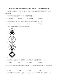 2024-2025学年河北省唐山市丰南区九年级（上）期末数学试卷