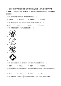 2024-2025学年河北省唐山市丰南区九年级（上）期末数学试卷
