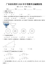 2026年广东省东莞市中考模拟数学自编试卷含答案