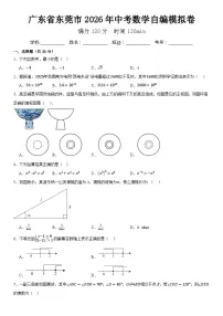 2026年广东省东莞市中考模拟数学自编试卷含答案