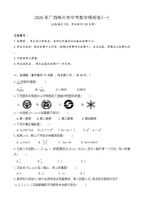 2026年广西柳州市中考模拟数学自编试卷含答案（一)