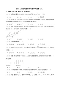 2026年云南省昭通市中考模拟数学自编试卷含答案（二）