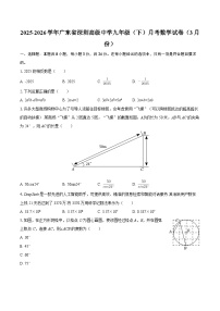 2025-2026学年广东省深圳高级中学九年级（下）月考数学试卷（3月份）-自定义类型