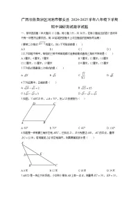 2024-2025学年广西壮族自治区河池市都安县八年级下学期期中调研测试数学试卷（学生版）