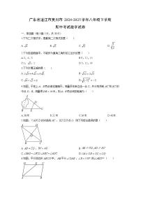 2024-2025学年广东省湛江市吴川市八年级下学期期中考试数学试卷（学生版）