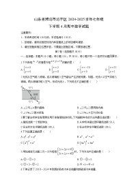 2024-2025学年山东省潍坊市坊子区七年级下学期4月期中数学试卷（学生版）