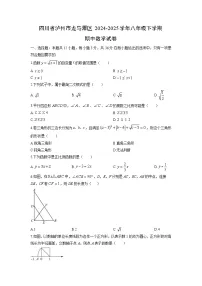 2024-2025学年四川省泸州市龙马潭区八年级下学期期中数学试卷(学生版)