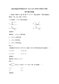 2024-2025学年浙江省嘉兴市名校中学七年级下学期期中数学试卷（解析版）