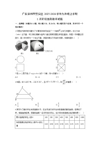 2025-2026学年广东深圳市宝安区九年级上学期1月阶段(月考)自测数学试卷（学生版）