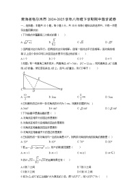 2024-2025学年青海省格尔木市八年级下学期期中数学试卷（学生版）