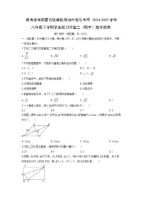 2024-2025学年青海省海西蒙古族藏族自治州格尔木市八年级下学期学业能力评鉴二（期中）数学试卷（学生版）