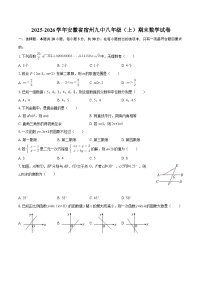 2025-2026学年安徽省宿州九中八年级（上）期末数学试卷-自定义类型