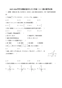 2025-2026学年安徽省宿州九中八年级（上）期末数学试卷-自定义类型