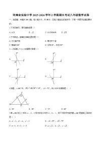 河南省实验中学2025-2026学年上学期期末考试八年级 数学试卷