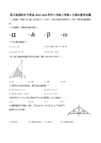 四川省绵阳市平武县2025-2026学年八年级上学期1月期末 数学试题