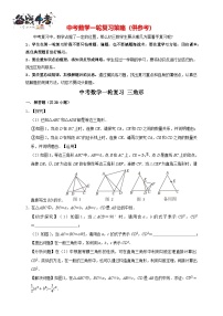 2026年中考数学核心考点一轮复习专练 三角形（含解析）