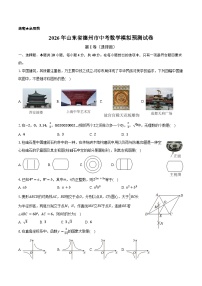 2026年山东省德州市中考模拟数学复习模拟试题含答案