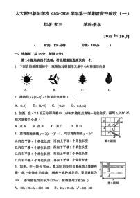 北京市中国人民大学附属中学朝阳学校2025-2026学年上学期10月月考九年级数学试题（无答案）