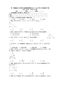 浙教版（2024）九年级下册解直角三角形同步达标检测题