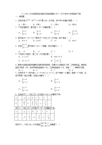 浙教版（2024）七年级下册（2024）二元一次方程测试题