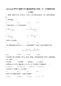 2025-2026学年广西南宁市天桃实验学校七年级（下）月考数学试卷（3月份）-自定义类型