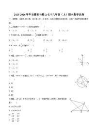 2025-2026学年安徽省马鞍山七中九年级（上）期末数学试卷-自定义类型