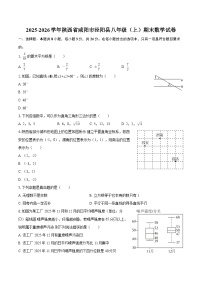 2025-2026学年陕西省咸阳市泾阳县八年级（上）期末数学试卷-自定义类型
