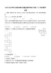 2025-2026学年山东省济南市历城区稼轩学校七年级（上）期末数学试卷-自定义类型