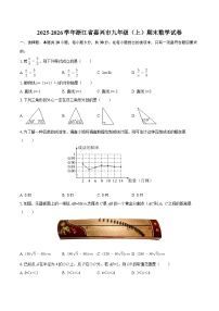 2025-2026学年浙江省嘉兴市九年级（上）期末数学试卷-自定义类型