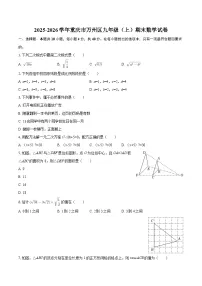 2025-2026学年重庆市万州区九年级（上）期末数学试卷-自定义类型
