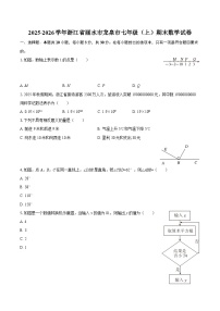 2025-2026学年浙江省丽水市龙泉市七年级（上）期末数学试卷-自定义类型