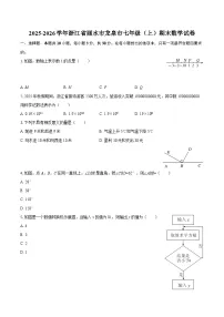 2025-2026学年浙江省丽水市龙泉市七年级（上）期末数学试卷-自定义类型