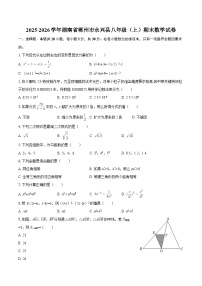2025-2026学年湖南省郴州市永兴县八年级（上）期末数学试卷-自定义类型