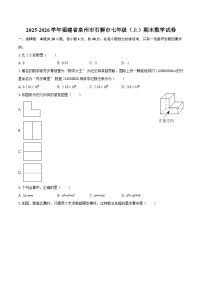2025-2026学年福建省泉州市石狮市七年级（上）期末数学试卷-自定义类型