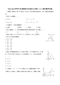 2025-2026学年江苏省南京市玄武区九年级（上）期末数学试卷-自定义类型