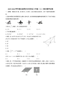 2025-2026学年湖北省武汉市汉阳区八年级（上）期末数学试卷-自定义类型