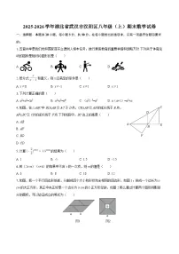 2025-2026学年湖北省武汉市汉阳区八年级（上）期末数学试卷-自定义类型